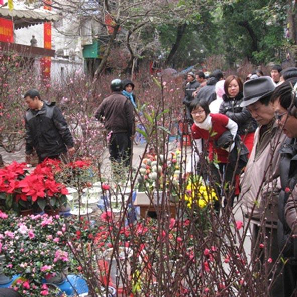 Hanoi to organize 51 flower markets on Lunar New Year 2010